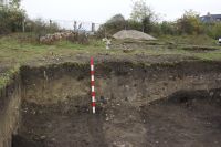 Cronica Cercetărilor Arheologice din România, Campania 2020. Raportul nr. 57
