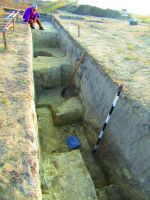 Chronicle of the Archaeological Excavations in Romania, 2020 Campaign. Report no. 62, Vlădeni, Popina Blagodeasca<br /><a href='http://foto.cimec.ro/cronica/2020/01-Sistematice/062-vladeni/fig-9-santul-de-aparare-vedere-partiala.JPG' target=_blank>Display the same picture in a new window</a>