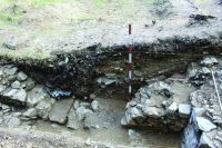Chronicle of the Archaeological Excavations in Romania, 2020 Campaign. Report no. 63, Voineşti, Măilătoaia (Malul lui Cocoş)<br /><a href='http://foto.cimec.ro/cronica/2020/01-Sistematice/063-voinesti/fig-3b.JPG' target=_blank>Display the same picture in a new window</a>