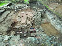 Cronica Cercetărilor Arheologice din România, Campania 2020. Raportul nr. 63