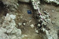 Chronicle of the Archaeological Excavations in Romania, 2020 Campaign. Report no. 63, Voineşti, Măilătoaia (Malul lui Cocoş)<br /><a href='http://foto.cimec.ro/cronica/2020/01-Sistematice/063-voinesti/fig-7a.JPG' target=_blank>Display the same picture in a new window</a>
