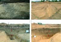 Chronicle of the Archaeological Excavations in Romania, 2020 Campaign. Report no. 65, Galaţi, Dealul Tirighina (Barboşi)<br /><a href='http://foto.cimec.ro/cronica/2020/02-Preventive/065-barbosi/3.jpg' target=_blank>Display the same picture in a new window</a>