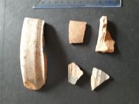 Chronicle of the Archaeological Excavations in Romania, 2020 Campaign. Report no. 69, Cepleniţa<br /><a href='http://foto.cimec.ro/cronica/2020/02-Preventive/069-ceplenita/fig-18.jpg' target=_blank>Display the same picture in a new window</a>
