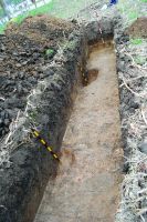Chronicle of the Archaeological Excavations in Romania, 2020 Campaign. Report no. 81, Limba, Vărar [Coliba Barbului]<br /><a href='http://foto.cimec.ro/cronica/2020/02-Preventive/081-limba/fig-13.JPG' target=_blank>Display the same picture in a new window</a>