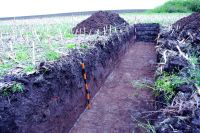 Chronicle of the Archaeological Excavations in Romania, 2020 Campaign. Report no. 81, Limba, Vărar [Coliba Barbului]<br /><a href='http://foto.cimec.ro/cronica/2020/02-Preventive/081-limba/fig-15.JPG' target=_blank>Display the same picture in a new window</a>