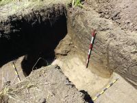 Chronicle of the Archaeological Excavations in Romania, 2020 Campaign. Report no. 81, Limba, Coliba Barbului<br /><a href='http://foto.cimec.ro/cronica/2020/02-Preventive/081-limba/fig-23.jpg' target=_blank>Display the same picture in a new window</a>
