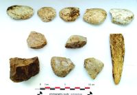 Chronicle of the Archaeological Excavations in Romania, 2020 Campaign. Report no. 81, Limba, Vărar [Coliba Barbului]<br /><a href='http://foto.cimec.ro/cronica/2020/02-Preventive/081-limba/fig-24.jpg' target=_blank>Display the same picture in a new window</a>