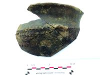 Chronicle of the Archaeological Excavations in Romania, 2020 Campaign. Report no. 81, Limba, Coliba Barbului<br /><a href='http://foto.cimec.ro/cronica/2020/02-Preventive/081-limba/fig-27.jpg' target=_blank>Display the same picture in a new window</a>