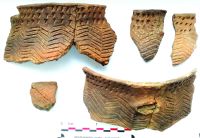 Chronicle of the Archaeological Excavations in Romania, 2020 Campaign. Report no. 81, Limba, Coliba Barbului<br /><a href='http://foto.cimec.ro/cronica/2020/02-Preventive/081-limba/fig-28.jpg' target=_blank>Display the same picture in a new window</a>