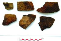 Chronicle of the Archaeological Excavations in Romania, 2020 Campaign. Report no. 81, Limba, Vărar [Coliba Barbului]<br /><a href='http://foto.cimec.ro/cronica/2020/02-Preventive/081-limba/fig-30.jpg' target=_blank>Display the same picture in a new window</a>