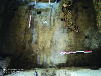 Chronicle of the Archaeological Excavations in Romania, 2020 Campaign. Report no. 86, Pitaru, Biserica satului<br /><a href='http://foto.cimec.ro/cronica/2020/02-Preventive/086-pitaru/fig-3-plan-morminte.jpg' target=_blank>Display the same picture in a new window</a>