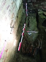 Chronicle of the Archaeological Excavations in Romania, 2020 Campaign. Report no. 86, Pitaru, Biserica satului<br /><a href='http://foto.cimec.ro/cronica/2020/02-Preventive/086-pitaru/fig-6-m5-m6.jpg' target=_blank>Display the same picture in a new window</a>