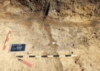 Chronicle of the Archaeological Excavations in Romania, 2020 Campaign. Report no. 105, Bălăneasa, Silişte<br /><a href='http://foto.cimec.ro/cronica/2020/03-Diagnostic/105-balaneasa/08-aspecte-din-timpul-cercetarii-complexului-131.jpg' target=_blank>Display the same picture in a new window</a>