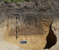 Chronicle of the Archaeological Excavations in Romania, 2020 Campaign. Report no. 105, Bălăneasa, Silişte<br /><a href='http://foto.cimec.ro/cronica/2020/03-Diagnostic/105-balaneasa/09-aspecte-din-timpul-cercetarii-complexului-131.jpg' target=_blank>Display the same picture in a new window</a>