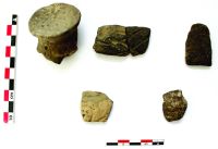 Chronicle of the Archaeological Excavations in Romania, 2020 Campaign. Report no. 109, Ruginoasa, Dealul Ruginii<br /><a href='http://foto.cimec.ro/cronica/2020/03-Diagnostic/109-ruginoasa/fig-5.jpg' target=_blank>Display the same picture in a new window</a>