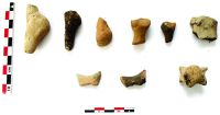Chronicle of the Archaeological Excavations in Romania, 2020 Campaign. Report no. 109, Ruginoasa, Dealul Ruginii<br /><a href='http://foto.cimec.ro/cronica/2020/03-Diagnostic/109-ruginoasa/fig-6.jpg' target=_blank>Display the same picture in a new window</a>